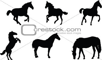 The set of 6Horse silhouette