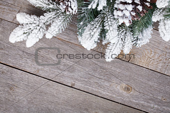 Fir tree on wooden board
