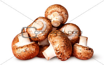 Pile of fresh brown champignon