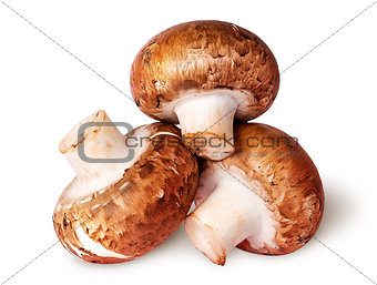 Three whole fresh brown champignons