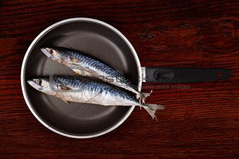 Fresh mackerel fish on pan.