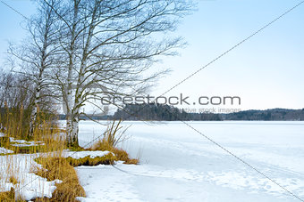 winter scenery Osterseen