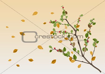 Autumn season. Yellow leaf branch
