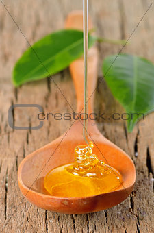 honey pouring