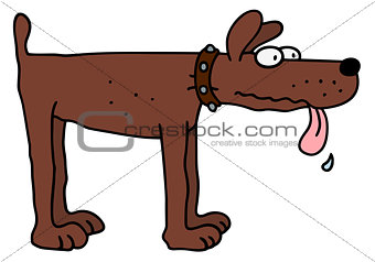 Funny brown dog