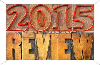 2015 year review banner