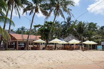 Palm beach restaurant