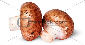 Two fresh brown mushroom beside rotated