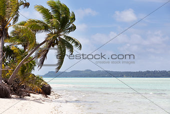 gorgeous tropical island
