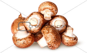 Pile of fresh brown champignon top view