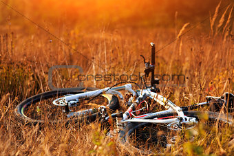 bicycle at sunny evening on countryside
