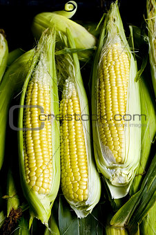 Three steamed corn