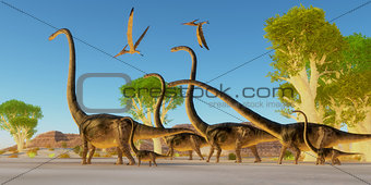 Jurassic Omeisaurus Forest