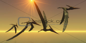 Pteranodon Reptile Flight
