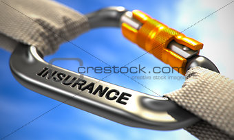 Chrome Carabine Hook with Text Insurance.