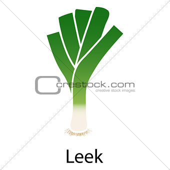 Leek onion icon