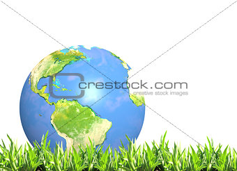 Summer green grass and Earth