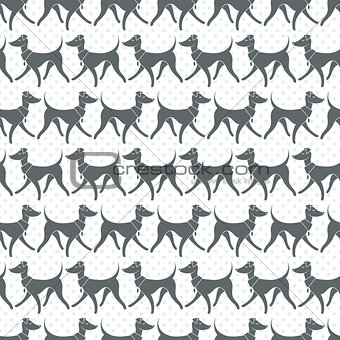 Seamless Vector Pattern with Pretty Walking Italian Greyhounds