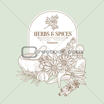 Herbs and Spices, Vector Illustration Banner