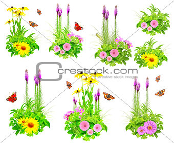 Set of summer flowers, butterfly, caterpillar and green leaves