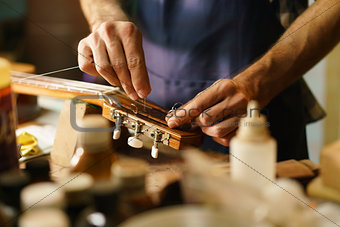 Artisan Lute Maker Fixing Stringed Instrument Replacing Guitar C