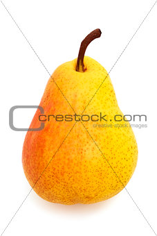 ripe pear
