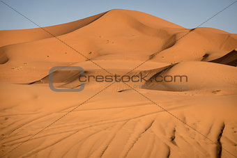 Dunes, Morocco, Sahara Desert