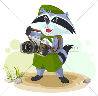 Scout raccoon with camera