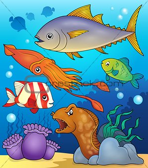 Ocean fauna topic image 4