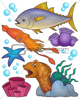 Ocean fauna topic set 2
