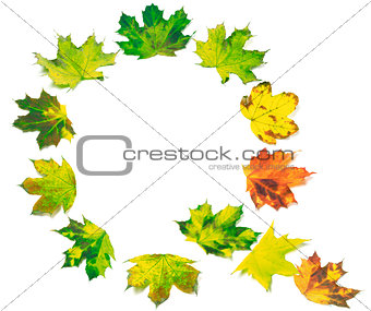 Letter Q composed of multicolor maple leafs