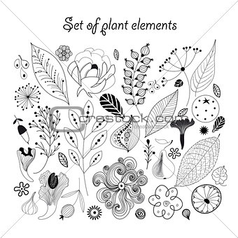 Beautiful graphic set with plants