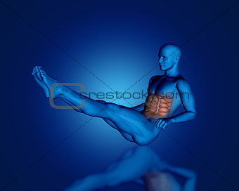 3D blue male figure with partial muscle map