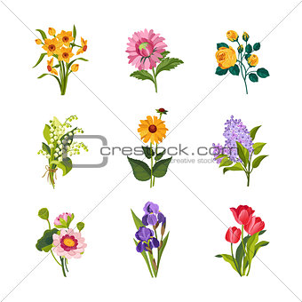 Garden Flowers Collection