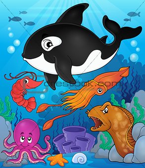 Ocean fauna topic image 8