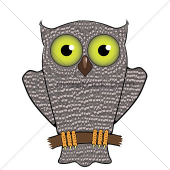 Cartoon Owl  Isolated on White Background.