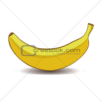 Vector illustration of the banana