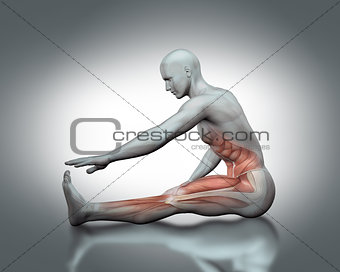 3D medical figure in stretching pose