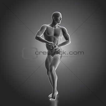 3D male bodybuilder figure