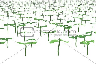field with planted sprouts 3d illustration