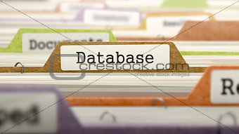 Database on Business Folder in Catalog.