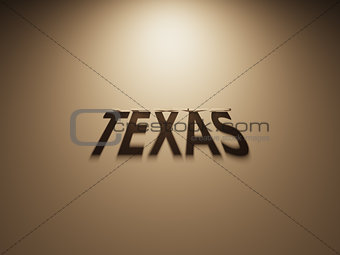 3D Rendering of a Shadow Text that reads Texas
