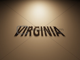3D Rendering of a Shadow Text that reads Virginia