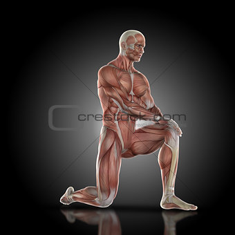3D render of a medical figure with muscle map