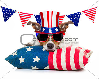 4th of july independence day dog