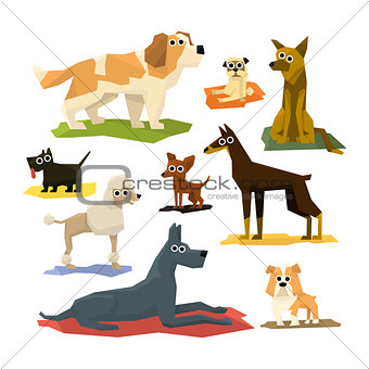 Different Dog Breeds Collection