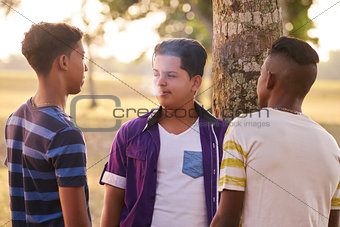 Teenagers In Park Boy Smoking Electronic Cigarette