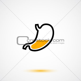 Flat vector stomach with fluid, acid, contents