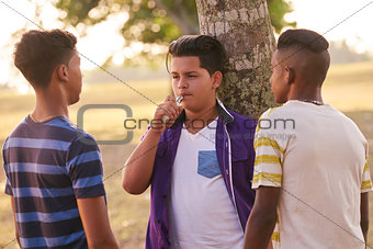 Group of Teenagers In Park Boy Smoking Electronic Cigarette