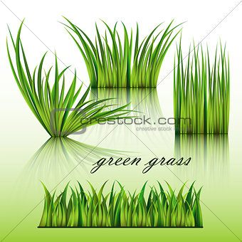 Fragments of the green grass isolated on green background.